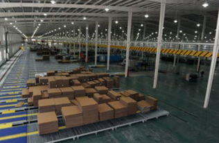 龍利得 率先建成印刷包裝行業智慧工廠,產品創新讓其贏得大客戶青睞