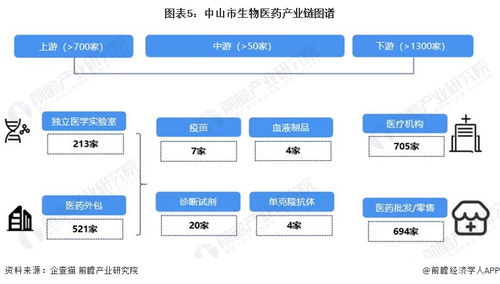 重磅 2023年中山市生物醫(yī)藥產(chǎn)業(yè)鏈全景圖譜 附產(chǎn)業(yè)政策 產(chǎn)業(yè)鏈現(xiàn)狀圖譜 產(chǎn)業(yè)資源空間布局 產(chǎn)業(yè)鏈發(fā)展規(guī)劃