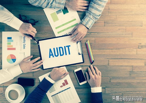 企業(yè)審計是什么