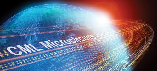 公司簡(jiǎn)介 產(chǎn)品業(yè)務(wù) 發(fā)展歷程 icgoo元器件百科