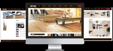 易龍天案例 一站式電商與ERP系統開發解決方案